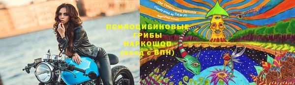 mix Белокуриха